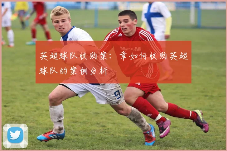 英超球队收购案：章如何收购英超球队的案例分析