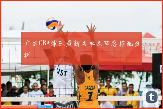 广东CBA球队最新名单及阵容搭配分析